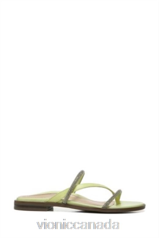 Vionic Green Prism Slide Sandals 4642661566Vionic sandals canada