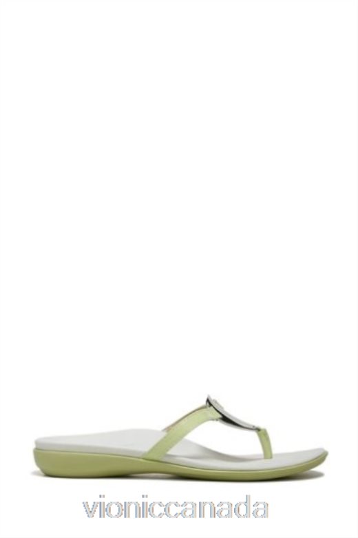 Vionic Green Raysa Thong Sandals 4642661619Vionic shoes calgary