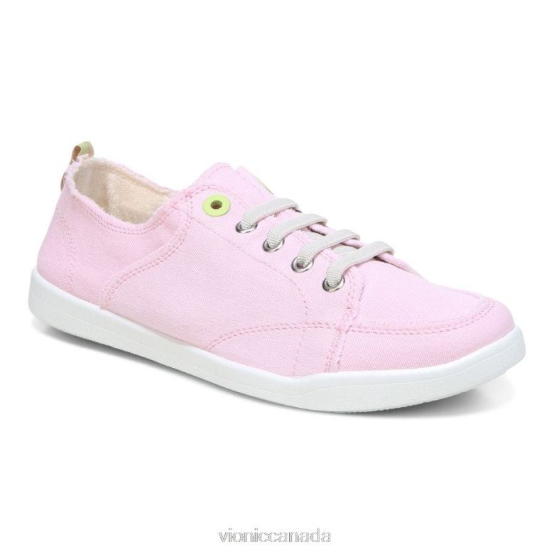 Cherry Blossom Canvas