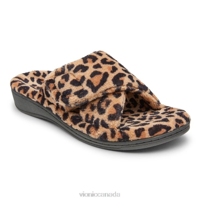 Natural Leopard