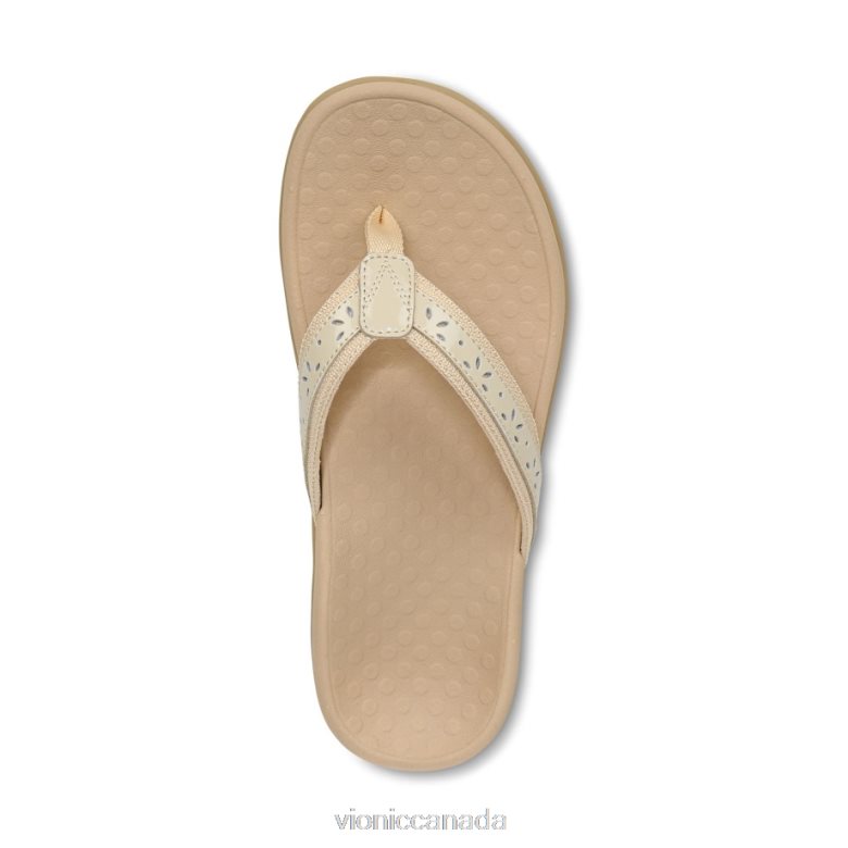 Vionic Casandra Toe Post Sandal 4642661383 Semolina Vionic canada shoes